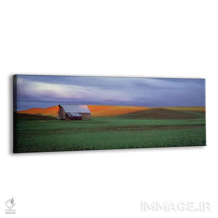 تابلو دکوراتیو Palouse, Whitman County, Washington State, USA #4,انبار… اثر پانورامیک ایمجز - نمای پرسپکتیو محصول