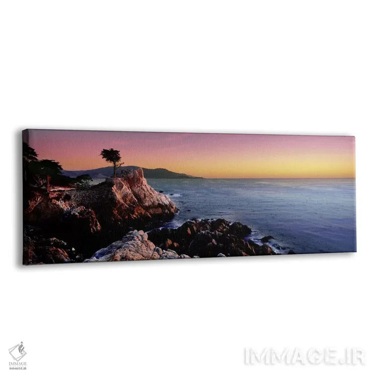 تابلو دکوراتیو 17-Mile Drive, Monterey County, California, USA,سیلوئت… اثر پانورامیک ایمجز - نمای پرسپکتیو محصول