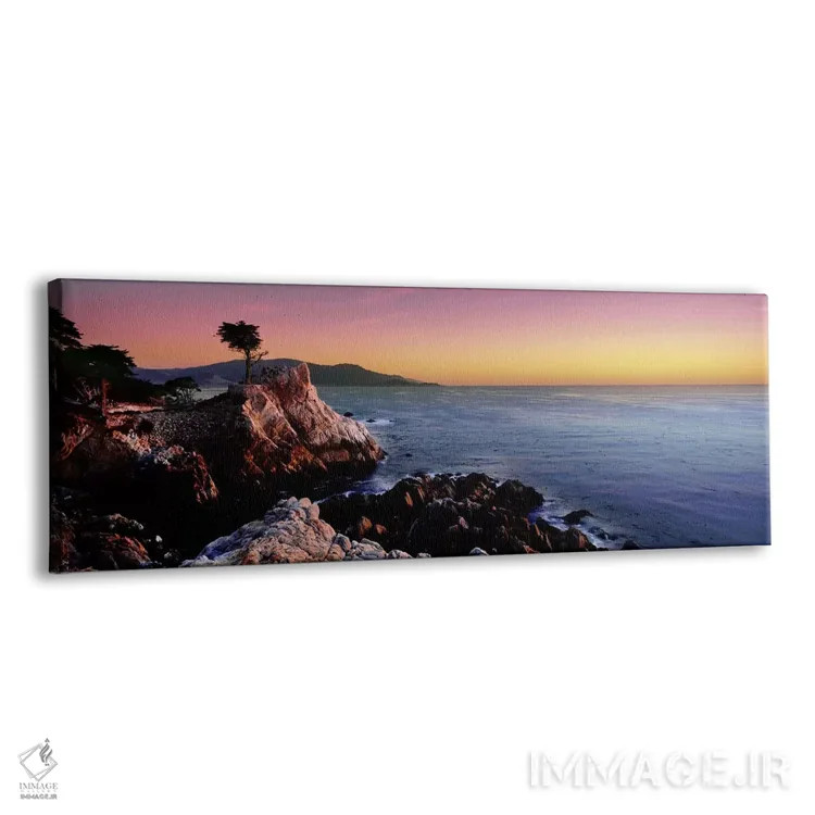 تابلو دکوراتیو 17-Mile Drive, Monterey County, California, USA,سیلوئت… اثر پانورامیک ایمجز - نمای پرسپکتیو محصول