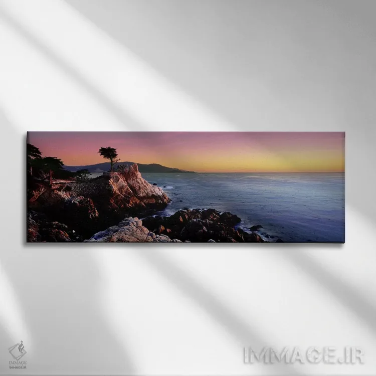 تابلو دکوراتیو 17-Mile Drive, Monterey County, California, USA,سیلوئت… اثر پانورامیک ایمجز - نمای روبهرو روی دیوار