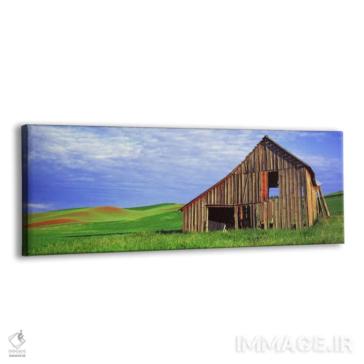 تابلو دکوراتیو Palouse, Whitman County, Washington State, USA,انبار مخ… اثر پانورامیک ایمجز - نمای پرسپکتیو محصول