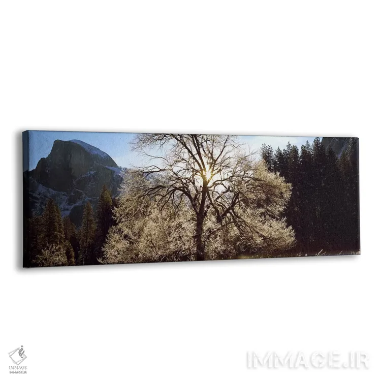 تابلو دکوراتیو Yosemite National Park, California, USA #2,نمای پایین ا… اثر پانورامیک ایمجز - نمای پرسپکتیو محصول