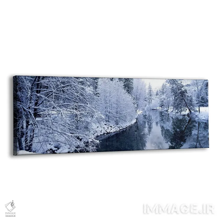 تابلو دکوراتیو Yosemite National Park, California, USA #2,درختان پوشید… اثر پانورامیک ایمجز - نمای پرسپکتیو محصول