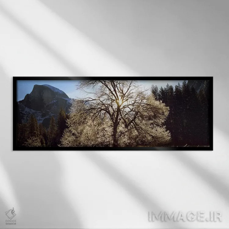 تابلو دکوراتیو Yosemite National Park, California, USA #2,نمای پایین ا… اثر پانورامیک ایمجز - نمای قابدار مشکی