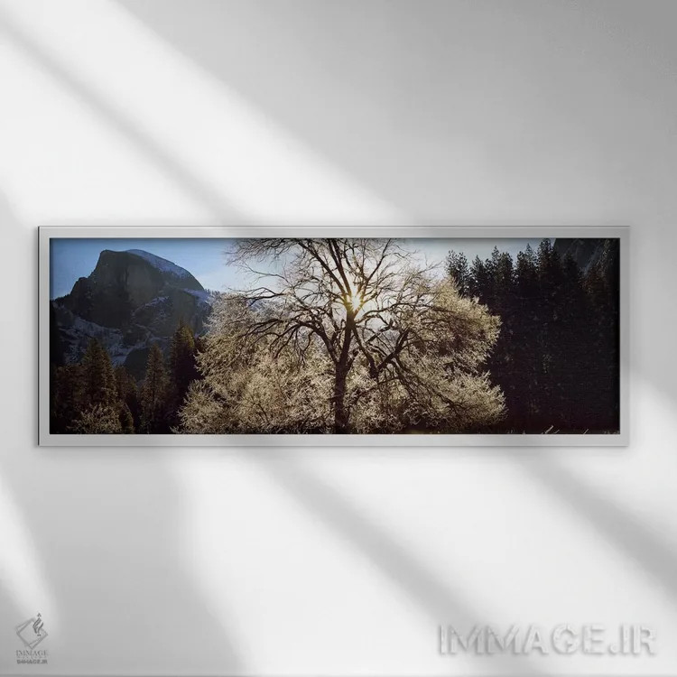 تابلو دکوراتیو Yosemite National Park, California, USA #2,نمای پایین ا… اثر پانورامیک ایمجز - نمای قابدار سفید