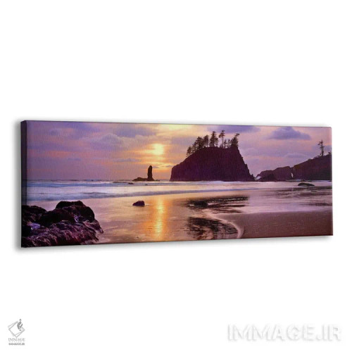 تابلو دکوراتیو Second Beach, Olympic National Park, Washington State… اثر پانورامیک ایمجز - نمای پرسپکتیو محصول