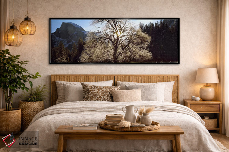 تابلو دکوراتیو Yosemite National Park, California, USA #2,نمای پایین ا… اثر پانورامیک ایمجز - D5B
