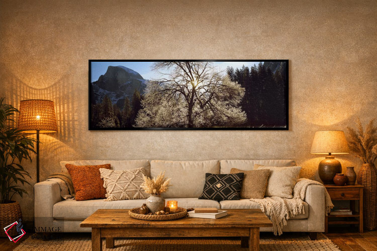 تابلو دکوراتیو Yosemite National Park, California, USA #2,نمای پایین ا… اثر پانورامیک ایمجز - D6B