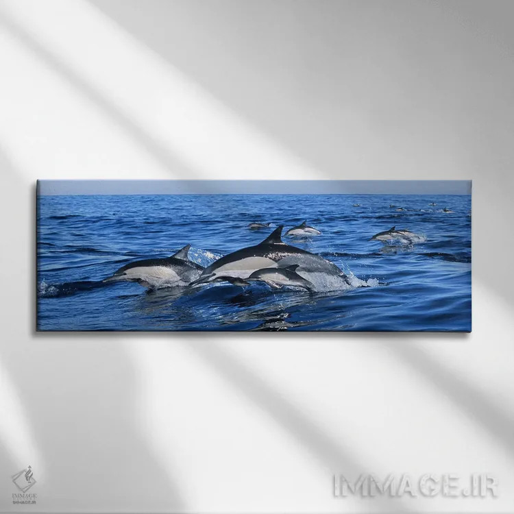 تابلو دکوراتیو دلفین های معمولی در حال پریدن از آب دریا اثر پانورامیک ایمجز - نمای روبهرو روی دیوار