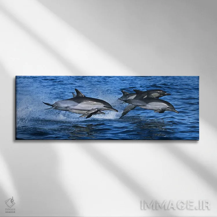 تابلو دکوراتیو دلفین های معمولی در حال پریدن از آب دریا اثر پانورامیک ایمجز - نمای روبهرو روی دیوار