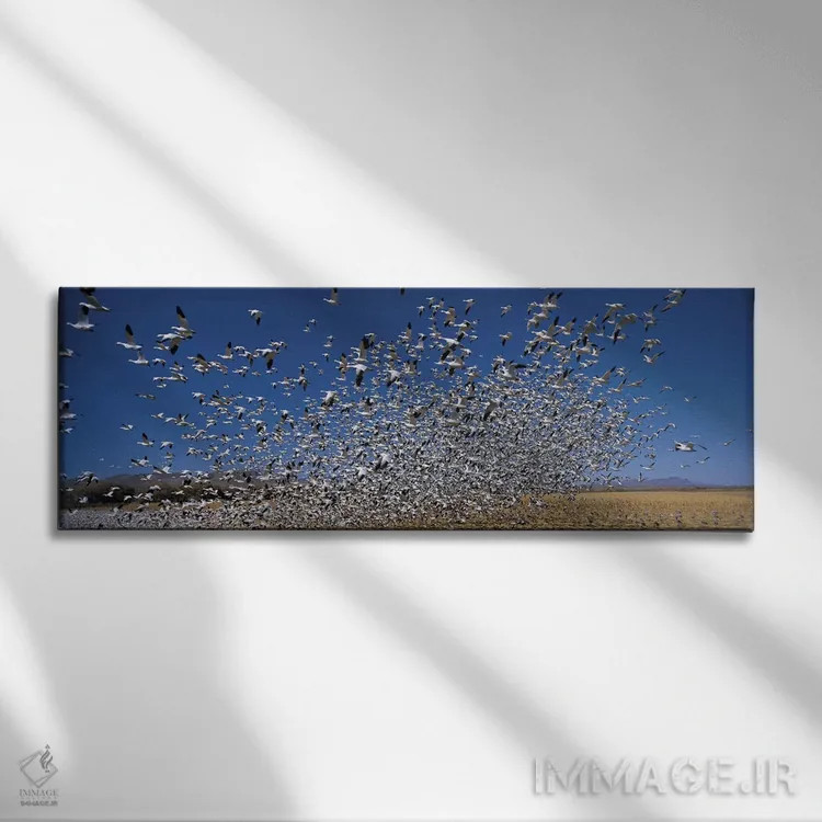 تابلو دکوراتیو Bosque Del Apache National Wildlife Reserve, Socorro Co… اثر پانورامیک ایمجز - نمای روبهرو روی دیوار