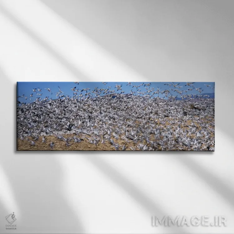 تابلو دکوراتیو Bosque Del Apache National Wildlife Reserve, Socorro Co… اثر پانورامیک ایمجز - نمای روبهرو روی دیوار