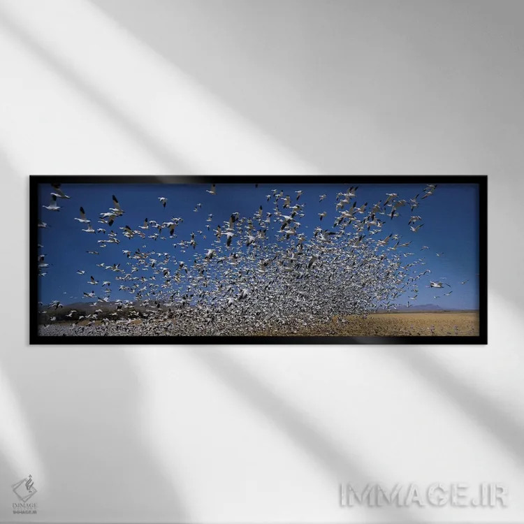 تابلو دکوراتیو Bosque Del Apache National Wildlife Reserve, Socorro Co… اثر پانورامیک ایمجز - نمای قابدار مشکی