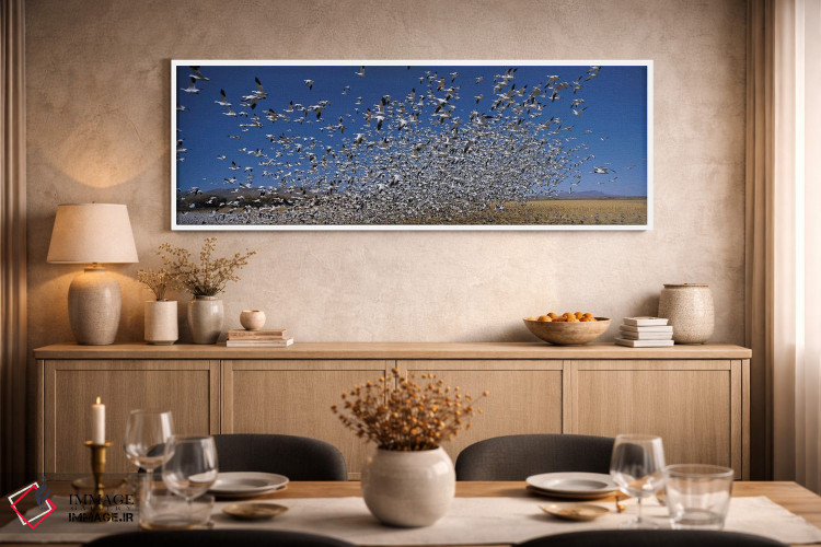 تابلو دکوراتیو Bosque Del Apache National Wildlife Reserve, Socorro Co… اثر پانورامیک ایمجز - D2W