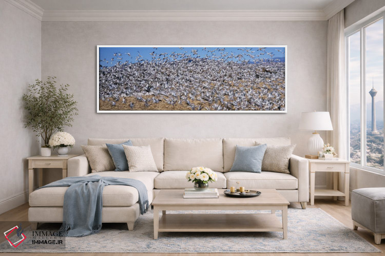 تابلو دکوراتیو Bosque Del Apache National Wildlife Reserve, Socorro Co… اثر پانورامیک ایمجز - D4W