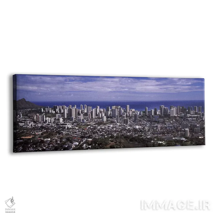 تابلو دکوراتیو Honolulu, Oahu, Honolulu County, Hawaii, USA 2010 #2,نم… اثر پانورامیک ایمجز - نمای پرسپکتیو محصول