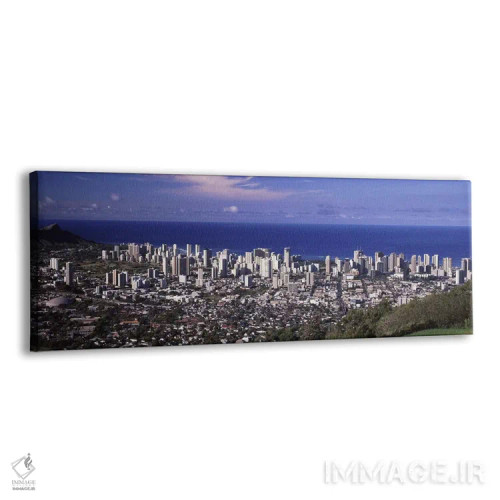 تابلو دکوراتیو Honolulu, Oahu, Honolulu County, Hawaii, USA 2010 #3,نم… اثر پانورامیک ایمجز - نمای پرسپکتیو محصول