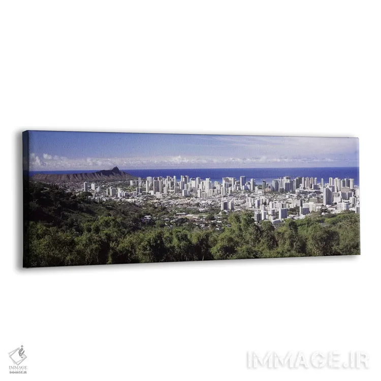 تابلو دکوراتیو Honolulu, Oahu, Honolulu County, Hawaii, USA 2010 #4,نم… اثر پانورامیک ایمجز - نمای پرسپکتیو محصول
