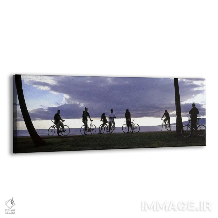 تابلو دکوراتیو Honolulu, Oahu, Hawaii, USA,گردشگران دوچرخه سوار در ساح… اثر پانورامیک ایمجز - نمای پرسپکتیو محصول