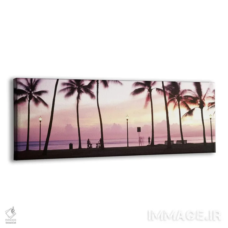تابلو دکوراتیو Waikiki, Honolulu, Oahu, Hawaii, USA #2,درختان نخل در س… اثر پانورامیک ایمجز - نمای پرسپکتیو محصول