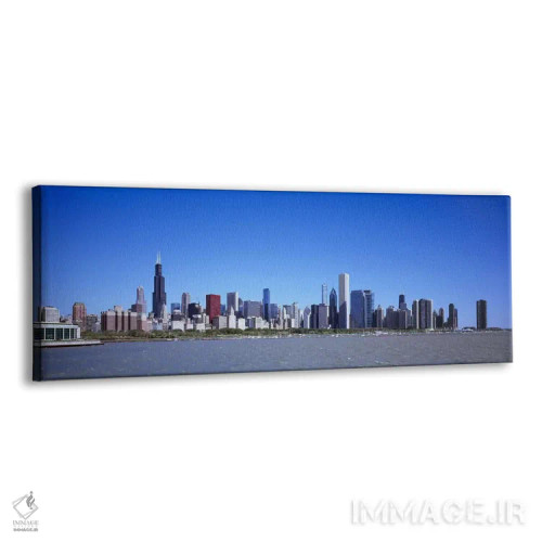 تابلو دکوراتیو Willis Tower, Shedd Aquarium, Chicago, Cook County, Ill… اثر پانورامیک ایمجز - نمای پرسپکتیو محصول