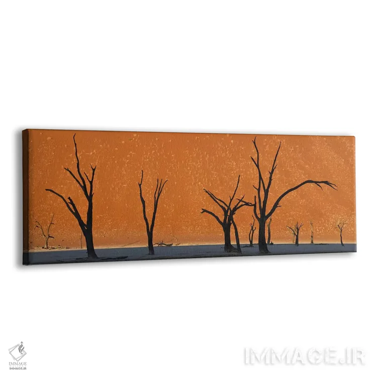 تابلو دکوراتیو Dead Vlei, Namib-Naukluft National Park, Namibia,درختان… اثر پانورامیک ایمجز - نمای پرسپکتیو محصول