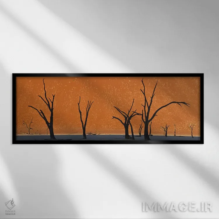 تابلو دکوراتیو Dead Vlei, Namib-Naukluft National Park, Namibia,درختان… اثر پانورامیک ایمجز - نمای قابدار مشکی