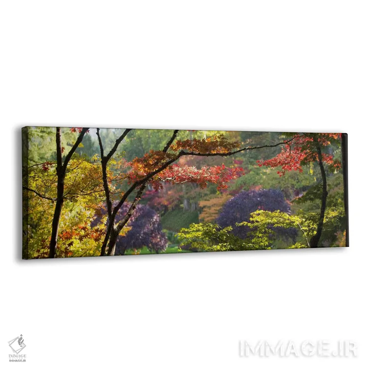 تابلو دکوراتیو Butchart Gardens, Brentwood Bay, Vancouver Island, Brit… اثر پانورامیک ایمجز - نمای پرسپکتیو محصول