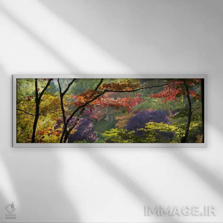 تابلو دکوراتیو Butchart Gardens, Brentwood Bay, Vancouver Island, Brit… اثر پانورامیک ایمجز - نمای قابدار سفید