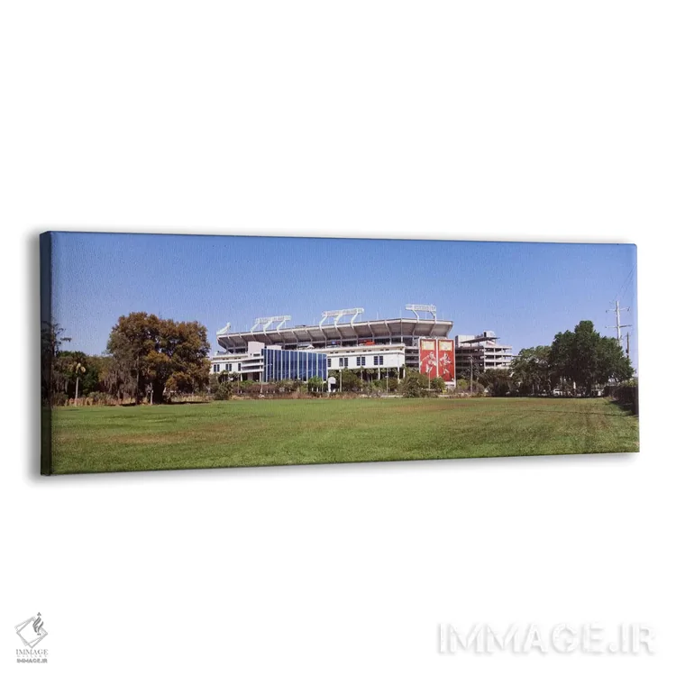 تابلو دکوراتیو Tampa, Florida, USA,ورزشگاه ریموند جیمز، محل تیم تامپا… اثر پانورامیک ایمجز - نمای پرسپکتیو محصول