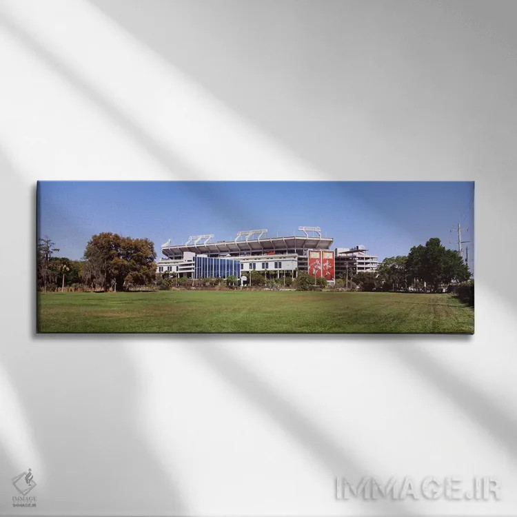 تابلو دکوراتیو Tampa, Florida, USA,ورزشگاه ریموند جیمز، محل تیم تامپا… اثر پانورامیک ایمجز - نمای روبهرو روی دیوار
