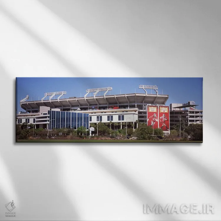 تابلو دکوراتیو Florida, USA,ورزشگاه ریموند جیمز، محل تیم تامپا بی بوکا… اثر پانورامیک ایمجز - نمای روبهرو روی دیوار