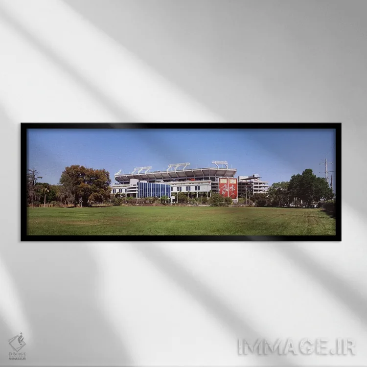 تابلو دکوراتیو Tampa, Florida, USA,ورزشگاه ریموند جیمز، محل تیم تامپا… اثر پانورامیک ایمجز - نمای قابدار مشکی