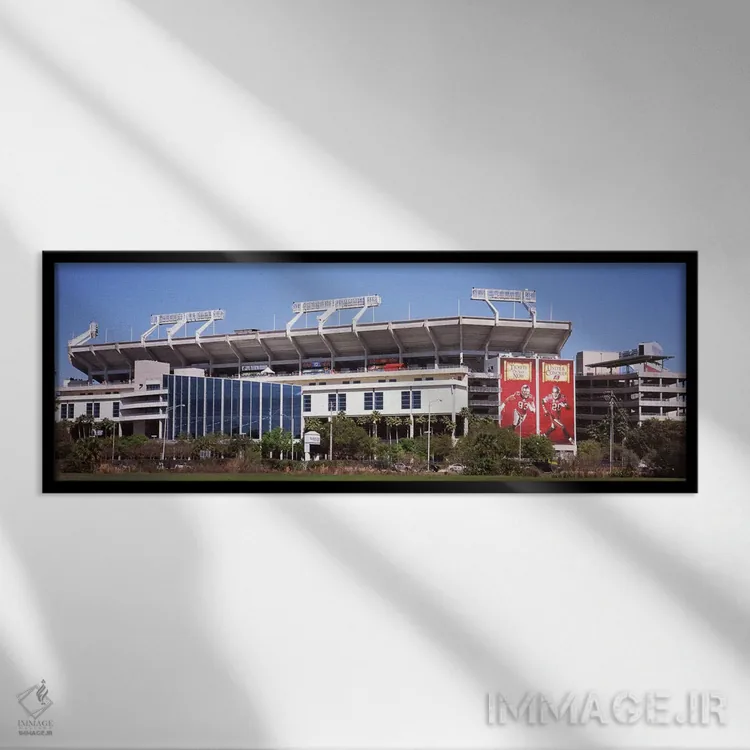 تابلو دکوراتیو Florida, USA,ورزشگاه ریموند جیمز، محل تیم تامپا بی بوکا… اثر پانورامیک ایمجز - نمای قابدار مشکی