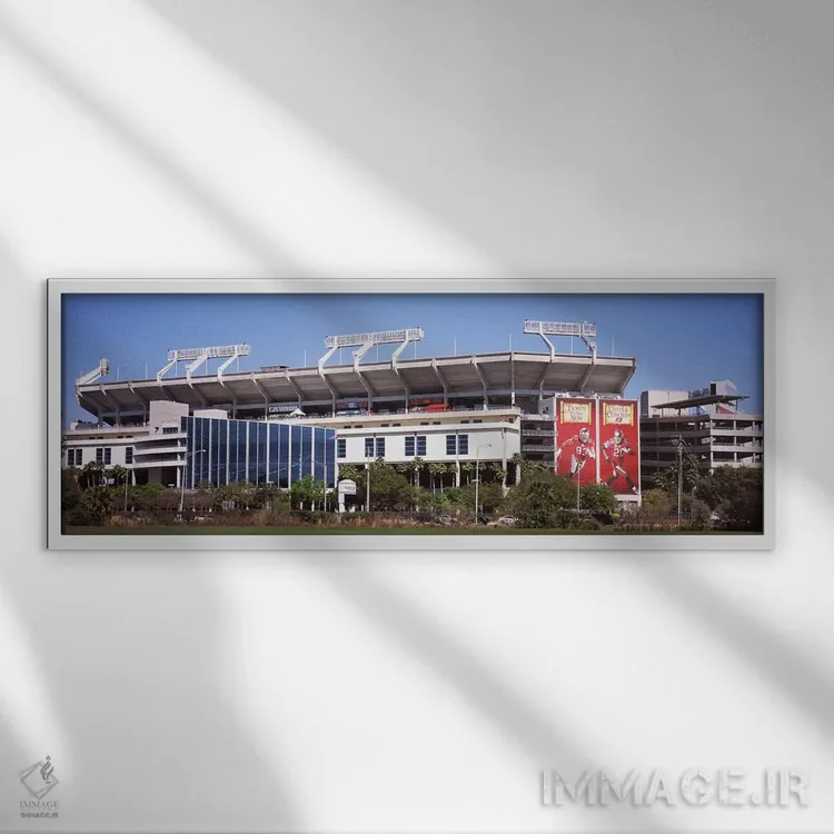 تابلو دکوراتیو Florida, USA,ورزشگاه ریموند جیمز، محل تیم تامپا بی بوکا… اثر پانورامیک ایمجز - نمای قابدار سفید