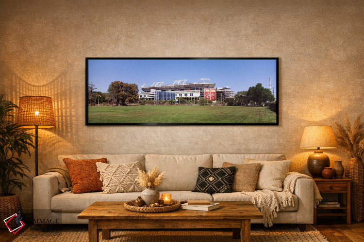 تابلو دکوراتیو Tampa, Florida, USA,ورزشگاه ریموند جیمز، محل تیم تامپا… اثر پانورامیک ایمجز - D6B