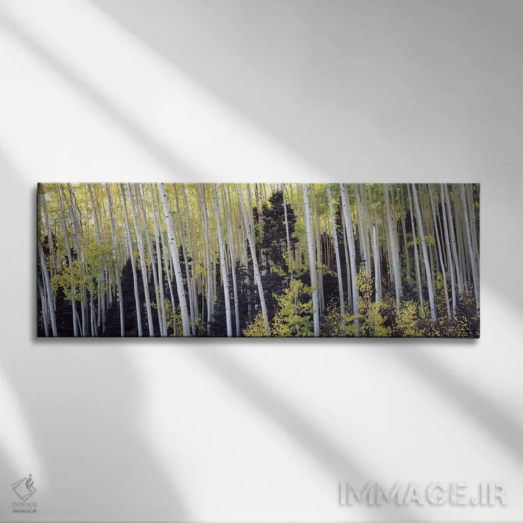 تابلو دکوراتیو Aspen, Pitkin County, Colorado, USA #2,درختان آسپن در ج… اثر پانورامیک ایمجز - نمای روبهرو روی دیوار