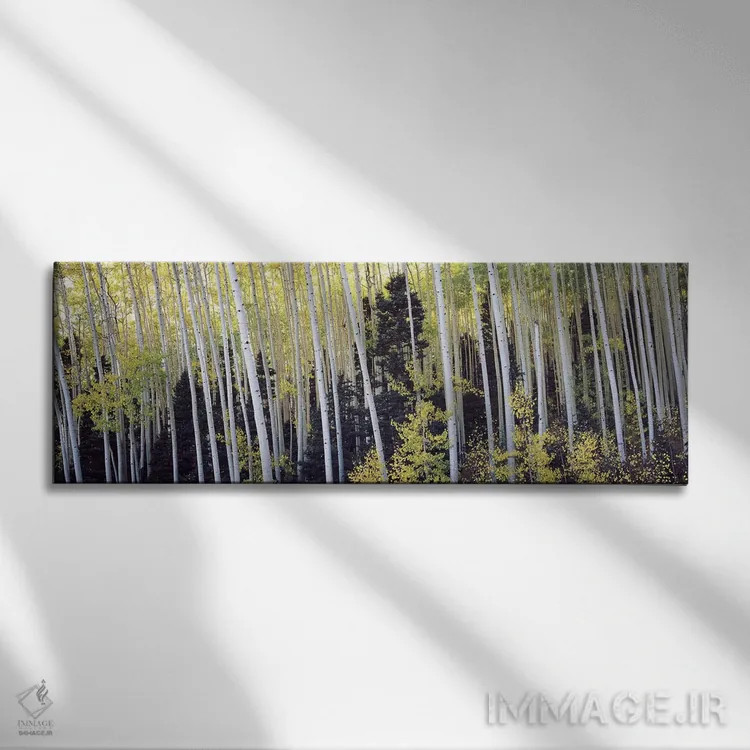 تابلو دکوراتیو Aspen, Pitkin County, Colorado, USA #2,درختان آسپن در ج… اثر پانورامیک ایمجز - نمای روبهرو روی دیوار