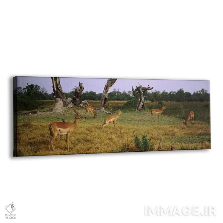 تابلو دکوراتیو Moremi Wildlife Reserve, Botswana,گله امپالاها در حال چ… اثر پانورامیک ایمجز - نمای پرسپکتیو محصول