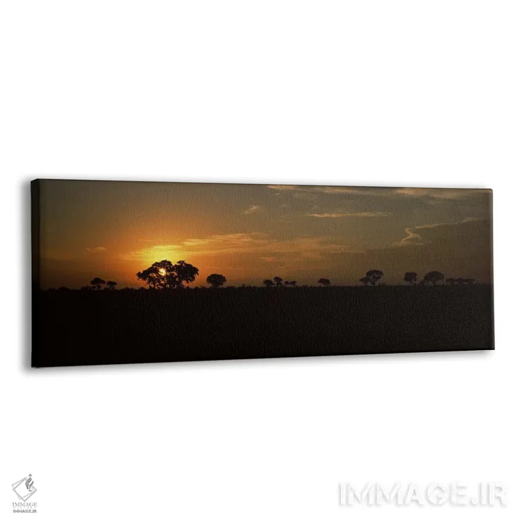 تابلو دکوراتیو Kruger National Park, South Africa,غروب باشکوه بر فراز… اثر پانورامیک ایمجز - نمای پرسپکتیو محصول