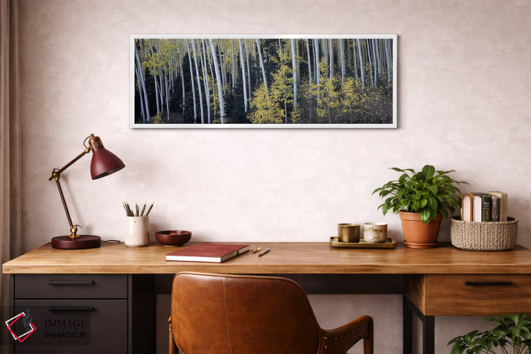 تابلو دکوراتیو Aspen, Pitkin County, Colorado, USA,درختان آسپن در جنگل… اثر پانورامیک ایمجز - D3W
