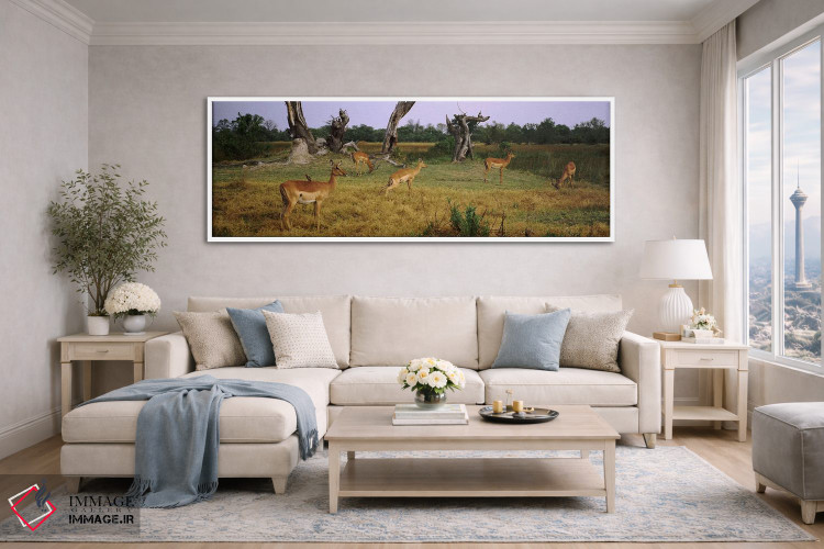 تابلو دکوراتیو Moremi Wildlife Reserve, Botswana,گله امپالاها در حال چ… اثر پانورامیک ایمجز - D4W