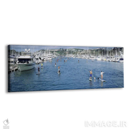 تابلو دکوراتیو Dana Point, Orange County, California, USA #3,پدل بردسو… اثر پانورامیک ایمجز - نمای پرسپکتیو محصول