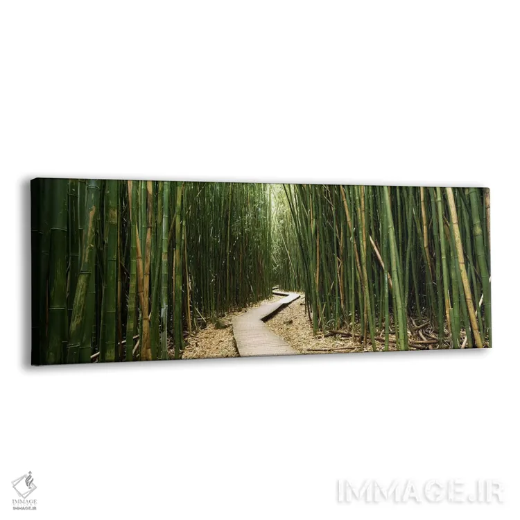 تابلو دکوراتیو Ohe'o Gulch, Haleakala National Park, Hana, Maui, Hawai… اثر پانورامیک ایمجز - نمای پرسپکتیو محصول