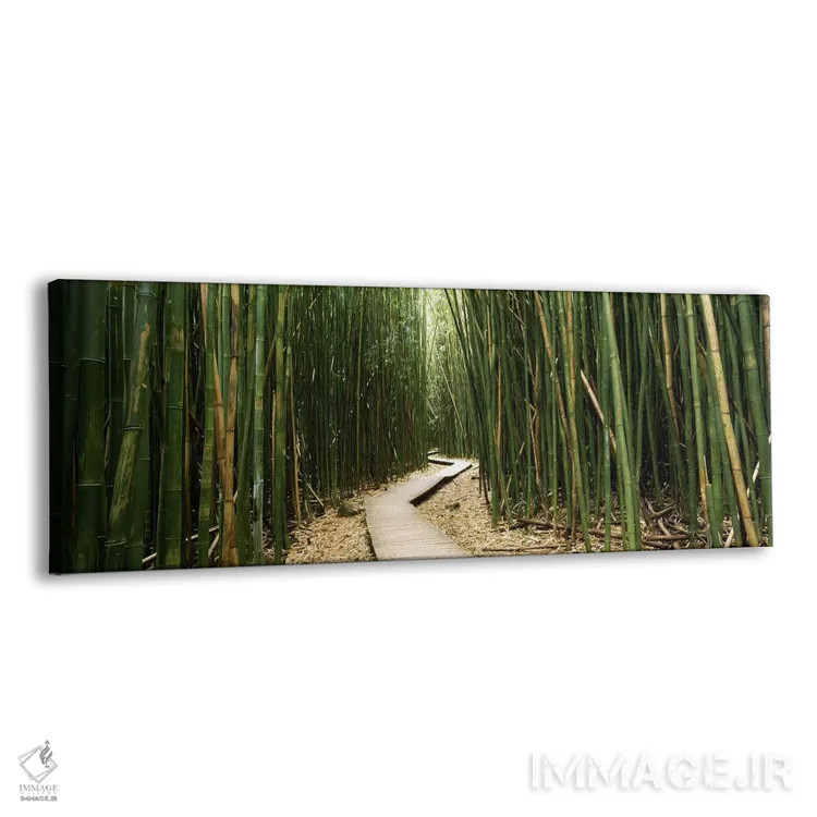 تابلو دکوراتیو Ohe'o Gulch, Haleakala National Park, Hana, Maui, Hawai… اثر پانورامیک ایمجز - نمای پرسپکتیو محصول