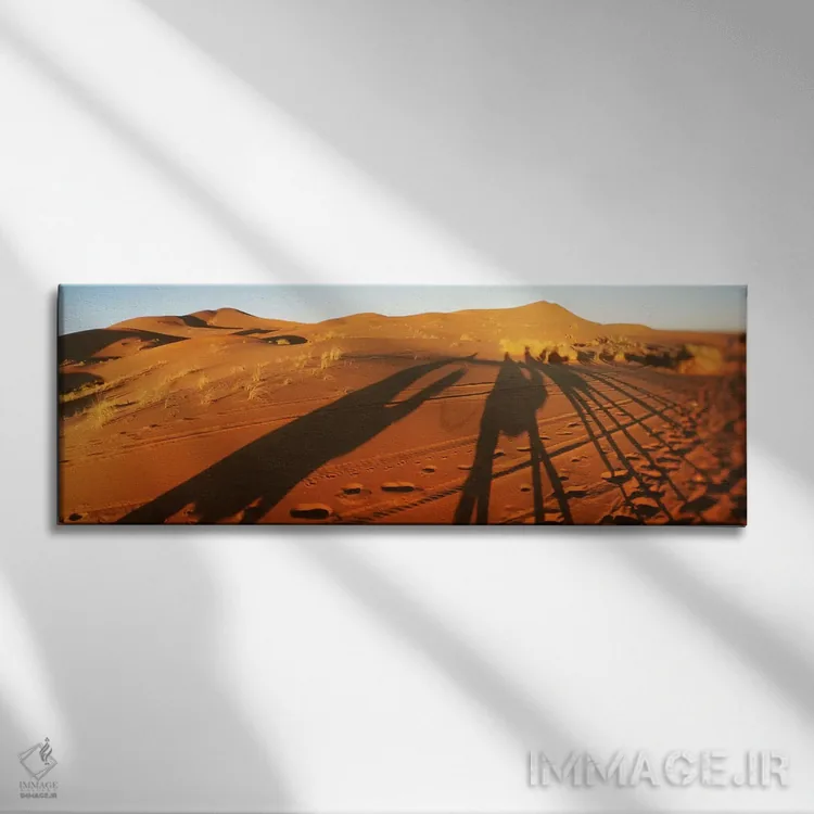 تابلو دکوراتیو Sahara Desert, Morocco,سایه شترسواران در صحرا هنگام غرو… اثر پانورامیک ایمجز - نمای روبهرو روی دیوار