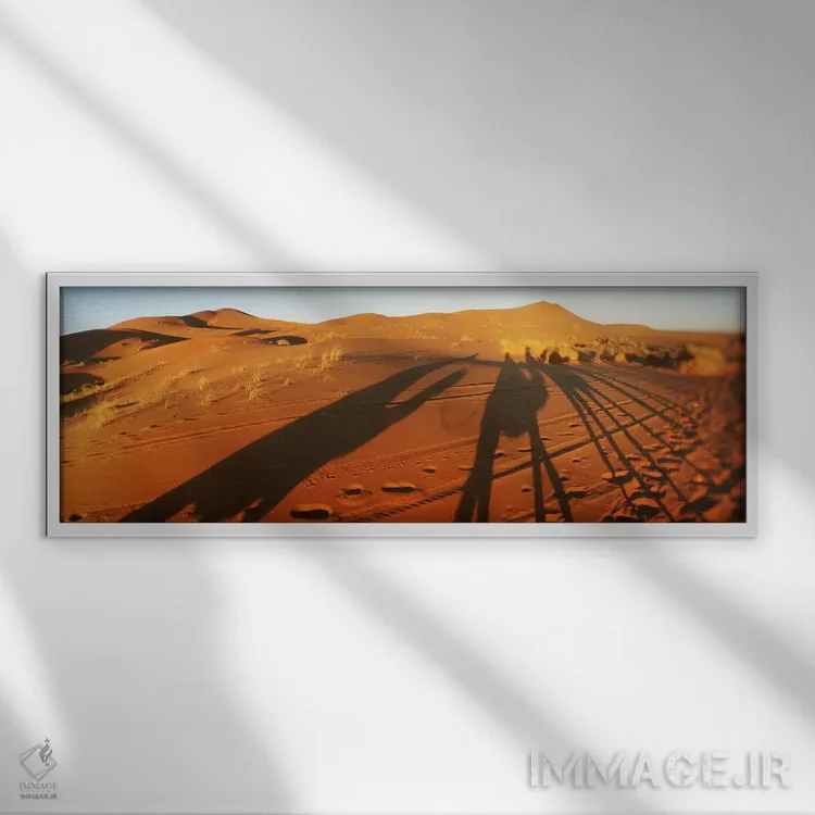 تابلو دکوراتیو Sahara Desert, Morocco,سایه شترسواران در صحرا هنگام غرو… اثر پانورامیک ایمجز - نمای قابدار سفید