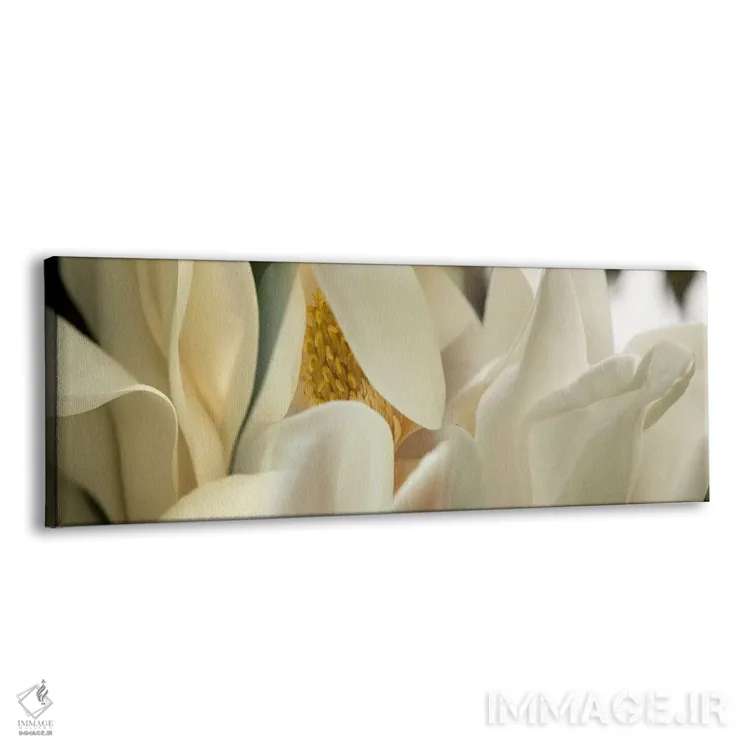 تابلو دکوراتیو گل های ماگنولیا #۴ اثر پانورامیک ایمجز - نمای پرسپکتیو محصول