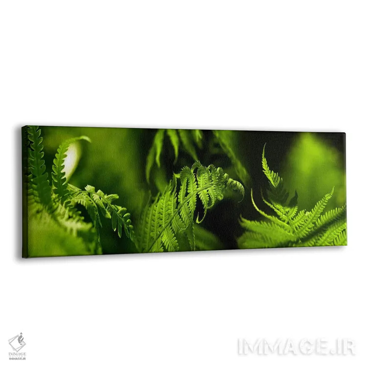 تابلو دکوراتیو سرخس اثر پانورامیک ایمجز - نمای پرسپکتیو محصول