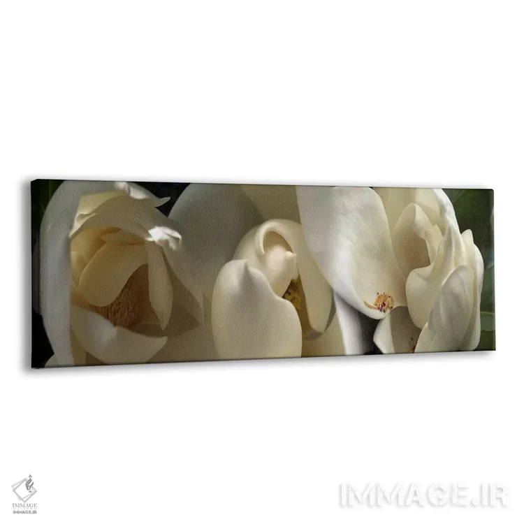 تابلو دکوراتیو گل های ماگنولیا #۵ اثر پانورامیک ایمجز - نمای پرسپکتیو محصول